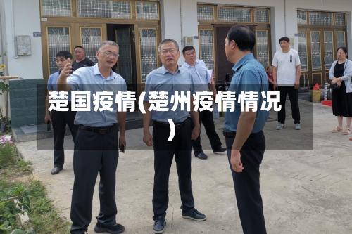 楚国疫情(楚州疫情情况)-第2张图片