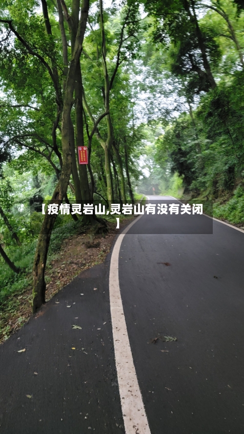 【疫情灵岩山,灵岩山有没有关闭】