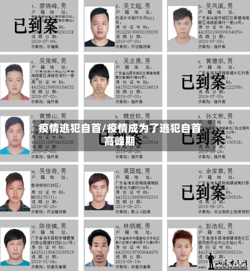 疫情逃犯自首/疫情成为了逃犯自首高峰期-第2张图片
