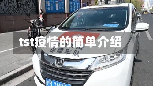 tst疫情的简单介绍