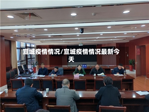 宣城疫情情况/宣城疫情情况最新今天-第2张图片