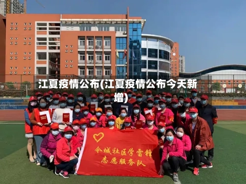 江夏疫情公布(江夏疫情公布今天新增)-第2张图片