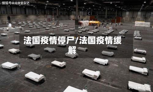 法国疫情停尸/法国疫情缓解-第2张图片