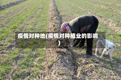 疫情对种地(疫情对种植业的影响)-第2张图片