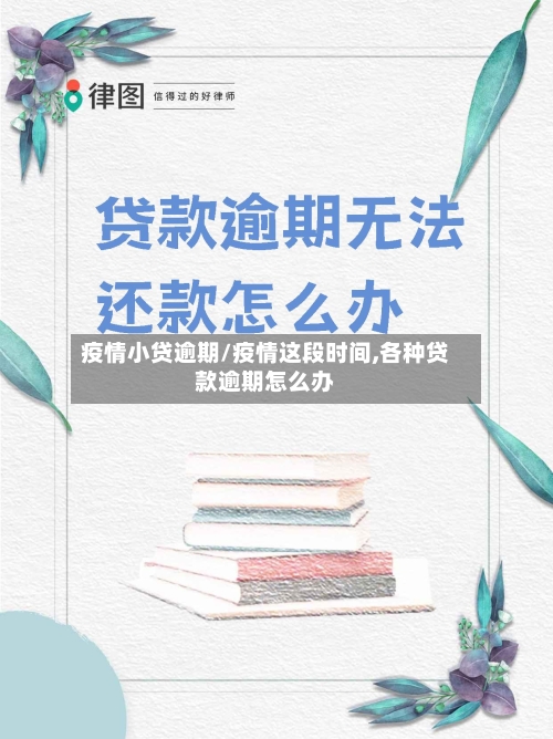 疫情小贷逾期/疫情这段时间,各种贷款逾期怎么办