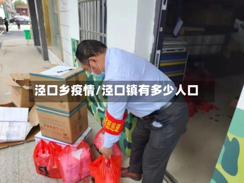 泾口乡疫情/泾口镇有多少人口