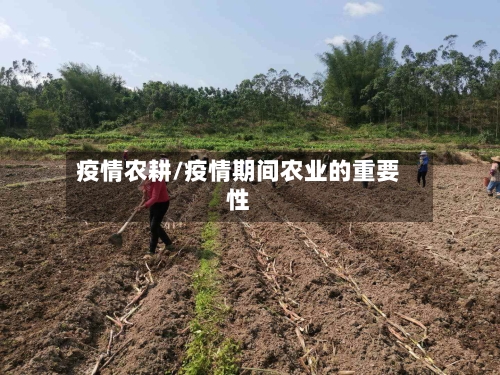 疫情农耕/疫情期间农业的重要性