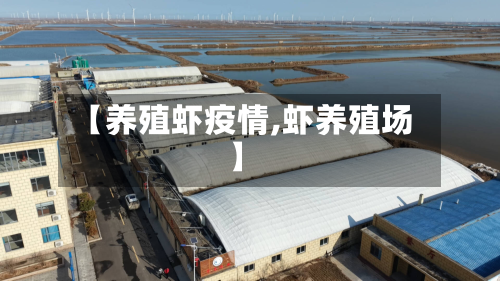 【养殖虾疫情,虾养殖场】-第3张图片