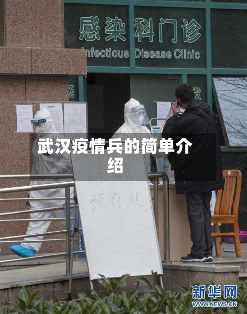 武汉疫情兵的简单介绍
