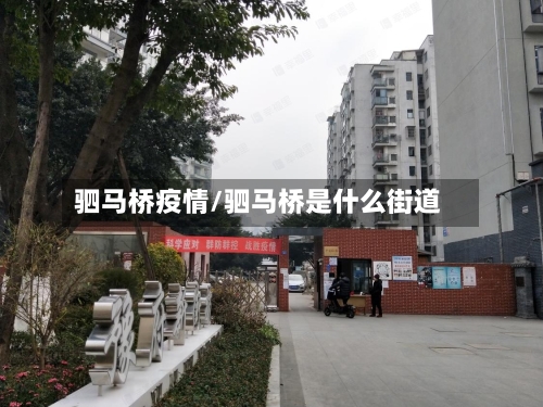 驷马桥疫情/驷马桥是什么街道