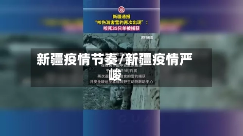新疆疫情节奏/新疆疫情严峻