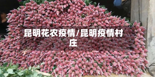 昆明花农疫情/昆明疫情村庄