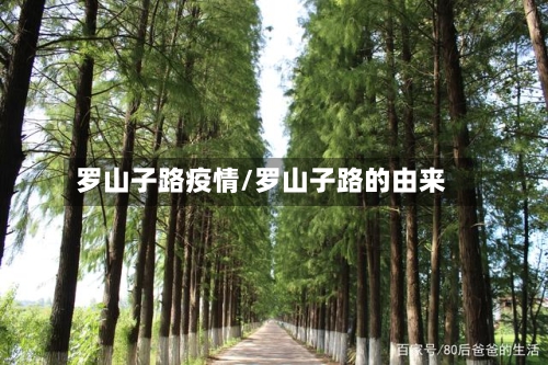 罗山子路疫情/罗山子路的由来-第3张图片