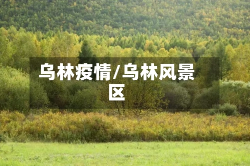 乌林疫情/乌林风景区