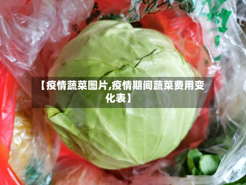 【疫情蔬菜图片,疫情期间蔬菜费用变化表】-第2张图片