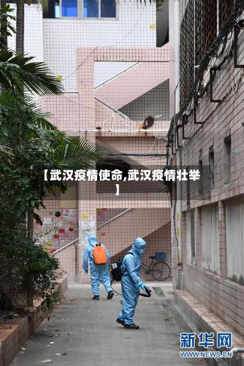 【武汉疫情使命,武汉疫情壮举】