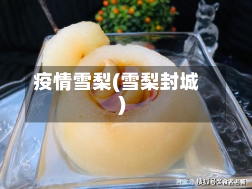 疫情雪梨(雪梨封城)