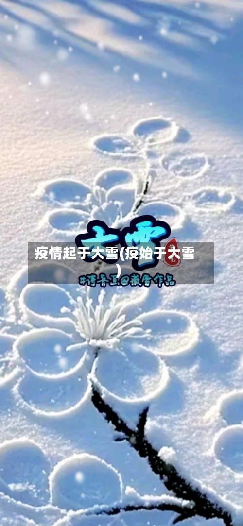 疫情起于大雪(疫始于大雪)-第2张图片