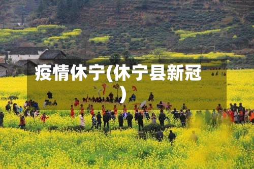 疫情休宁(休宁县新冠)