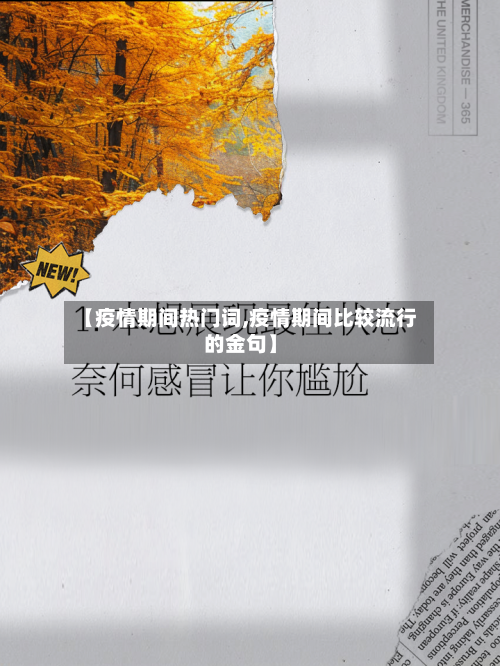 【疫情期间热门词,疫情期间比较流行的金句】