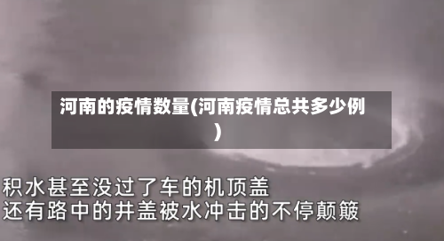 河南的疫情数量(河南疫情总共多少例)-第3张图片